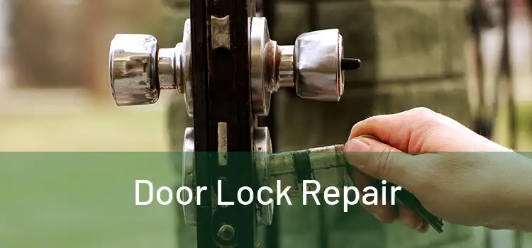 Door Lock Repair